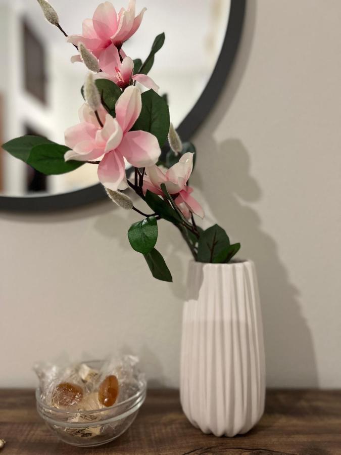 Alkinoos Studio Petrití 外观 照片
